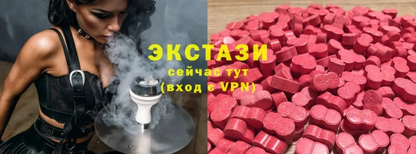 индика Богданович